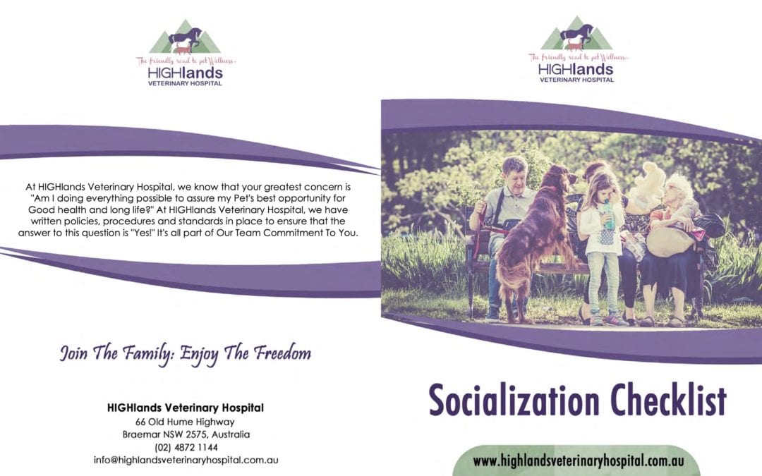 Puppy Socialisation Checklist