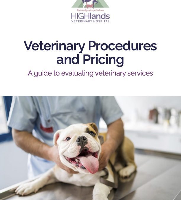 Veterinary Procedures & Pricing