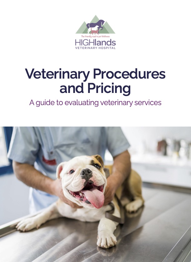 The Cost of Great Veterinary Care Explained